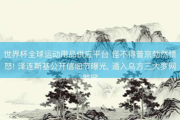 世界杯全球運動用品供應平臺 怪不得普京勃然憤怒! 澤連斯基公開信細節曝光, 遁入烏方三大羅網